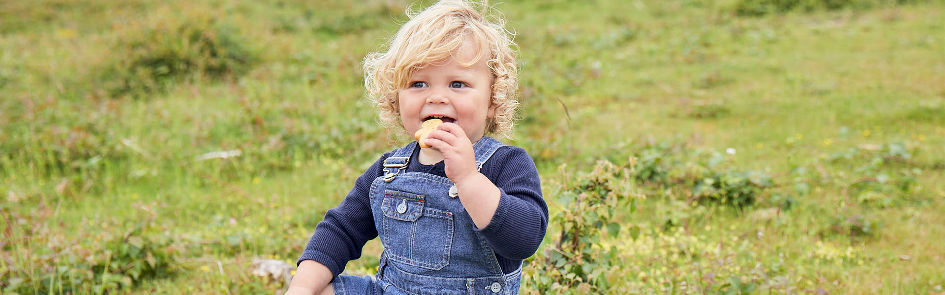 Toddler eating a biscuit in a field
