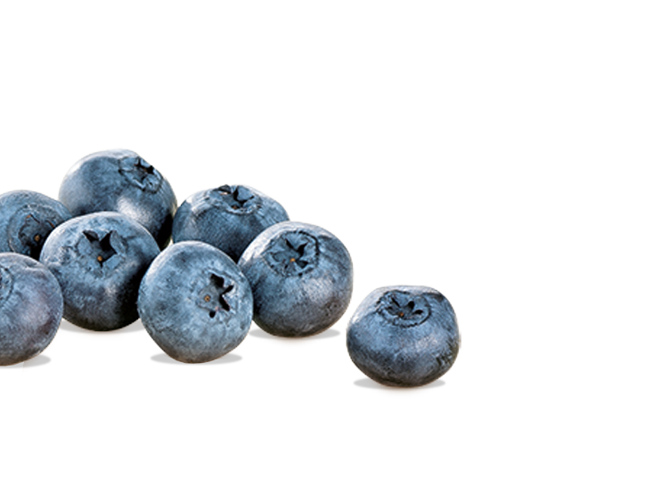 Blueberry slices