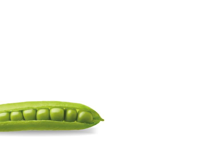 green peas in an open pod 
