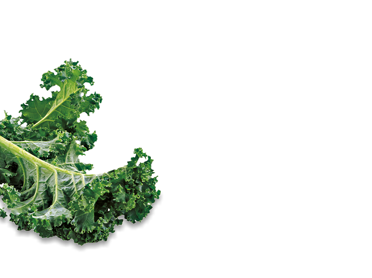 Curly kale