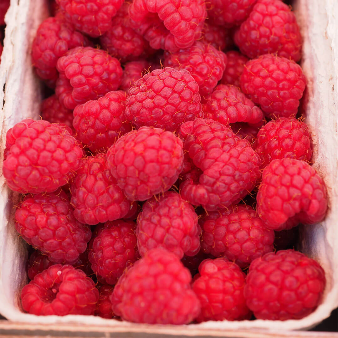 A punnet of raspberries