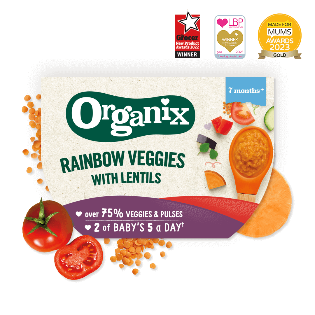 Product image showing the packaging of the Organix rainbow veggies with lentils