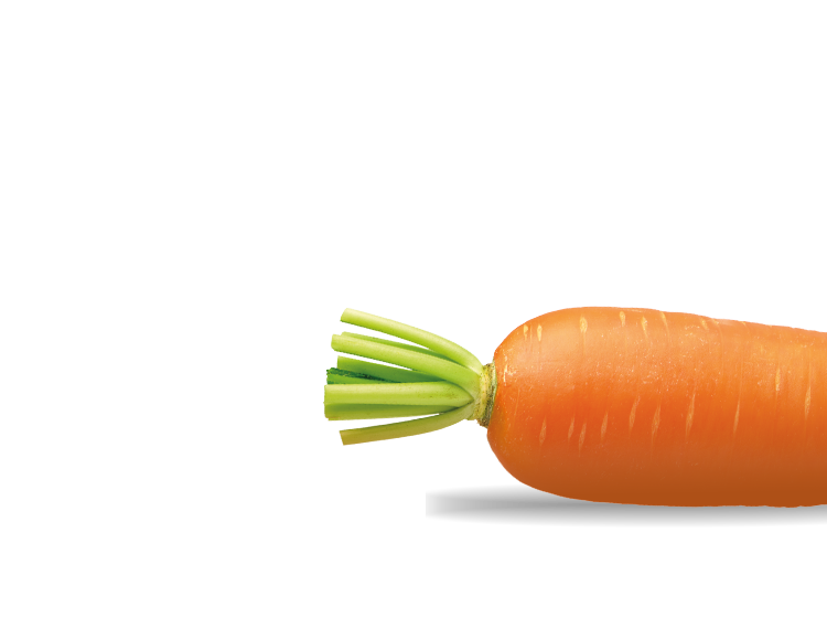 Carrot