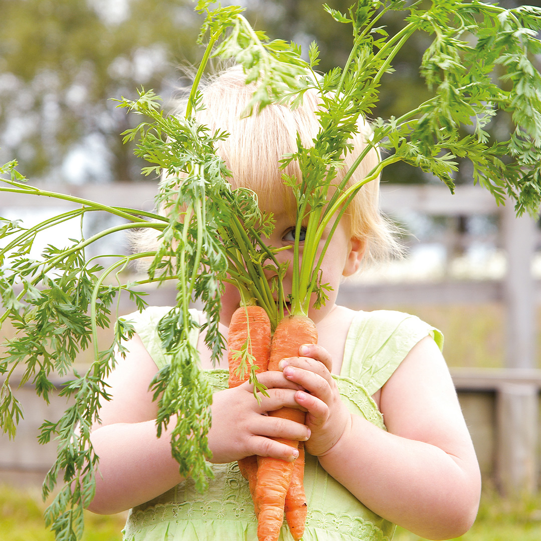 Little blonde girl holding a bunch of carrots in front of her with the green leaves sprouting out of the top and covering her face. She is wearing a green top.